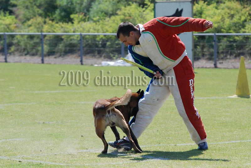 3 EME SELECTIF 2009 GRANDE SYNTHE 151.jpg